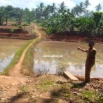 Pj Kepala Pekon Siliwangi Hendi Sutarno Survei Lokasi Jalan